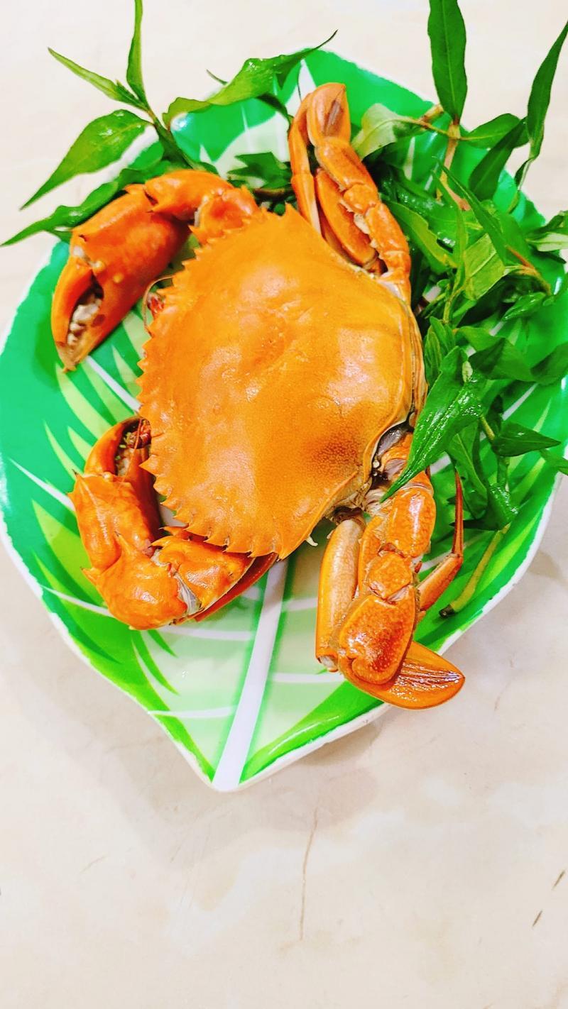 Khám phá 7 địa chỉ hải sản ngon, giá rẻ tại Quận Ninh Kiều, TP. Cần Thơ