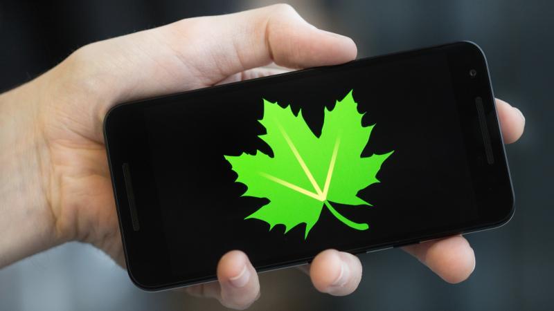 Top 10 ứng dụng quản lý pin hiệu quả nhất cho Android