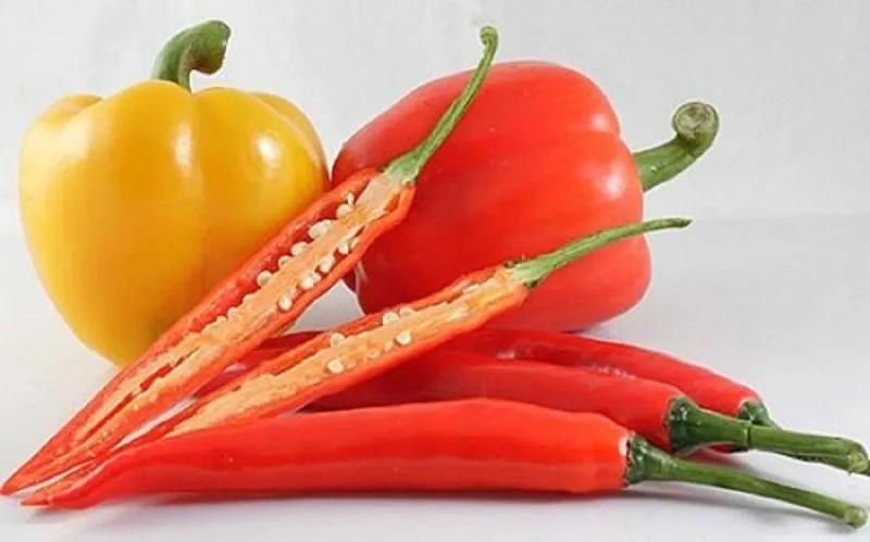 10 Loại Rau Củ Quả Giàu Vitamin A Nhất Cho Đôi Mắt Sáng Khỏe