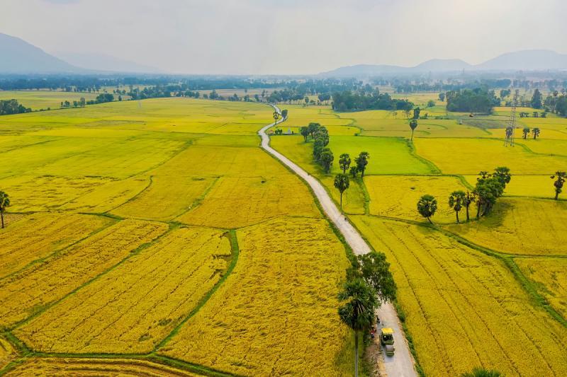 Top 20 Bài thơ đặc sắc nhất viết về mảnh đất và con người Thái Bình