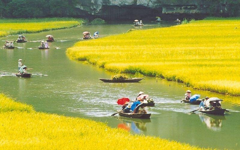 Hành trình khám phá Hoa Lư Ninh Bình: Cẩm nang không thể thiếu cho tân binh du lịch