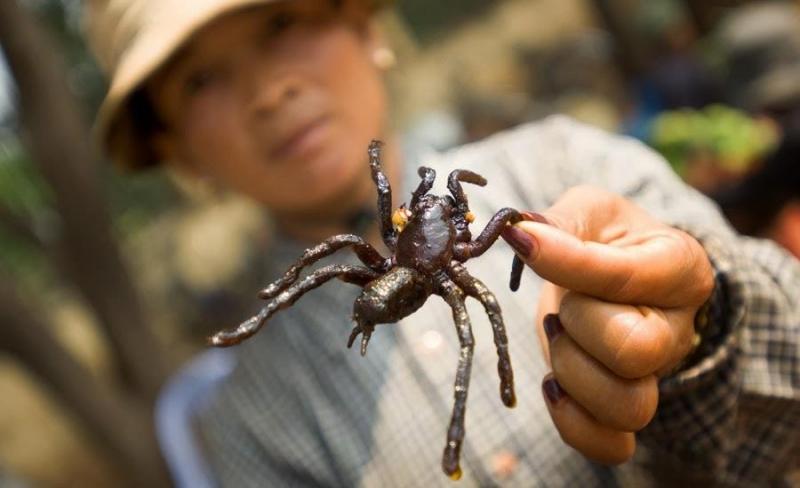 12 Món Đặc Sản Châu Á Khiến Thực Khách Phương Tây 'Rùng Mình'