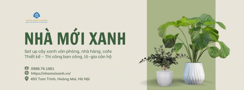 10 Địa chỉ cho thuê cây cảnh văn phòng chất lượng và đáng tin cậy nhất Hà Nội