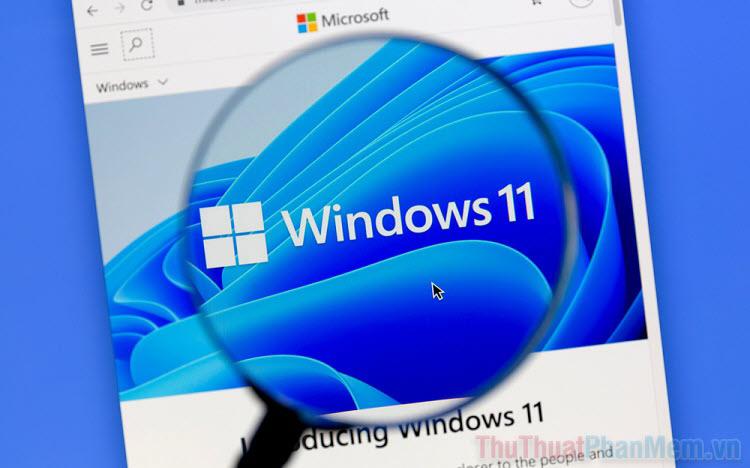 Hướng dẫn chi tiết cách xem địa chỉ IP mạng trên Windows 11