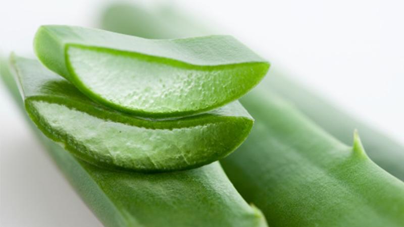 Bí quyết ngâm rượu nha đam dưỡng da tại nhà - Tuyệt chiêu làm đẹp từ phụ nữ Nhật
