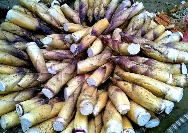 10 Đặc sản Gia Lai làm nên thương hiệu vùng đất đại ngàn