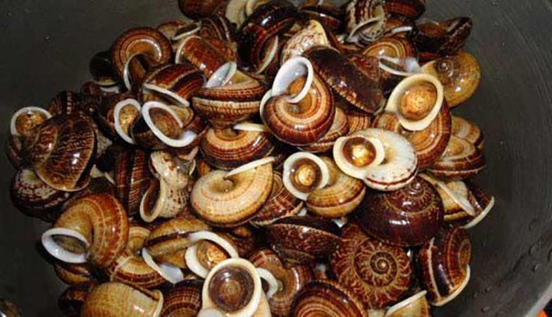 Top 10 món đặc sản hấp dẫn nhất Sơn La không thể bỏ lỡ