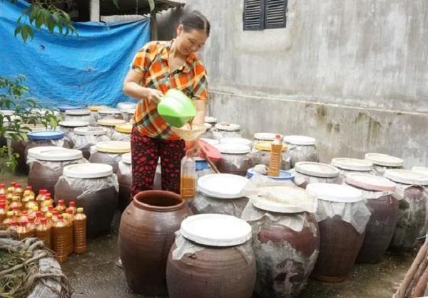 15 đặc sản Thái Nguyên nức tiếng gần xa - Hành trình khám phá hương vị đậm đà
