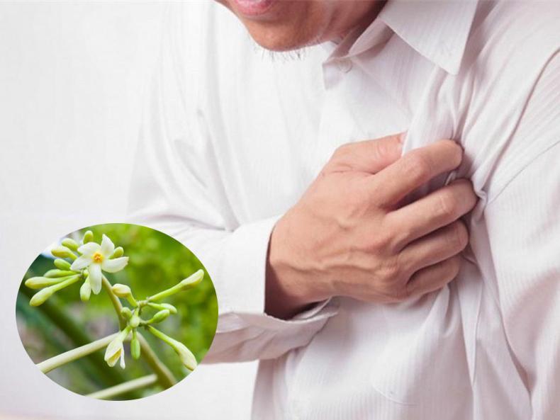 6 Cách sử dụng hoa đu đủ đực hiệu quả nhất cho sức khỏe