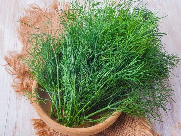 10 loại gia vị vàng bảo vệ hệ tiêu hóa của bạn