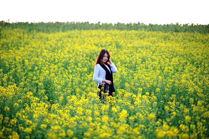 Top 13 Vẻ Đẹp Lay Động Lòng Người Của Mùa Đông Hà Nội