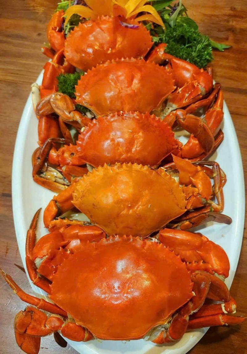 Top 5 địa điểm ẩm thực đáng trải nghiệm nhất trên đường Phan Chu Trinh, TP.HCM
