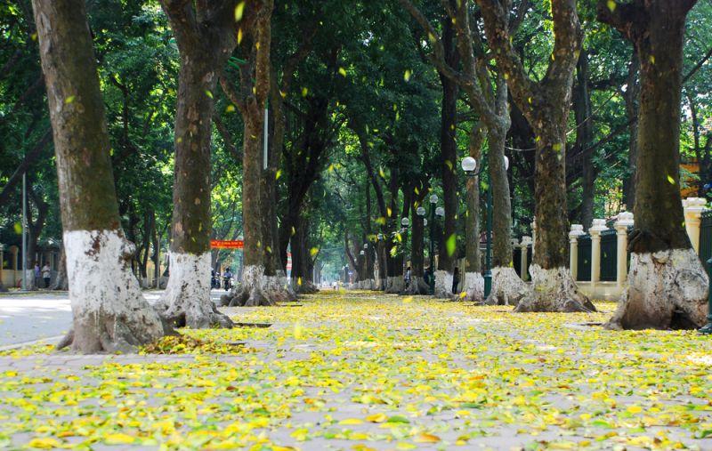 12 địa điểm lý tưởng nhất để săn ảnh mùa thu Hà Nội