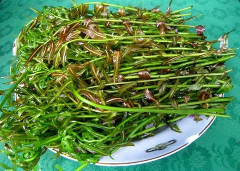 10 Đặc sản Hậu Giang làm say lòng thực khách