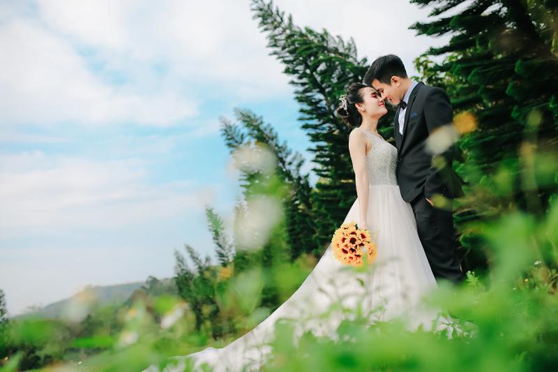 8 Địa Điểm Chụp Ảnh Cưới Lãng Mạn Nhất Phú Yên: Lưu Giữ Khoảnh Khắc Tình Yêu