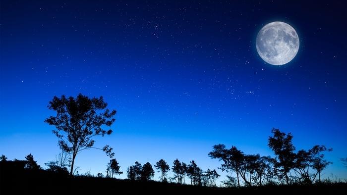 Top 10 Dàn ý bài văn tả một đêm trăng tuyệt đẹp (lớp 5) chi tiết nhất