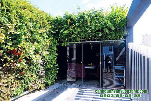 Top 5 đơn vị thi công vườn tường đẹp và chất lượng hàng đầu tại TP.HCM
