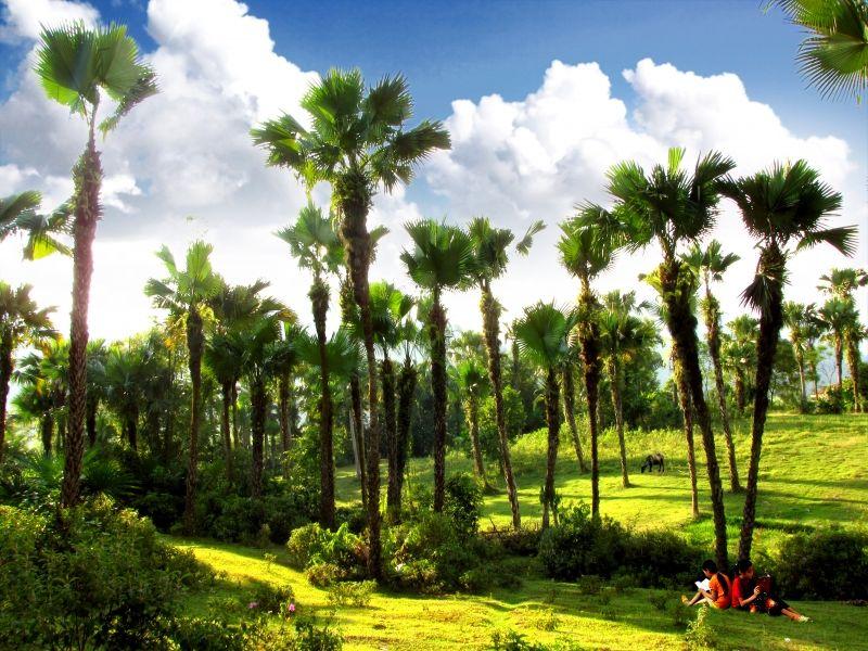 Top 13 Áng văn xuôi sắc sảo tả cảnh sắc núi rừng Việt Nam