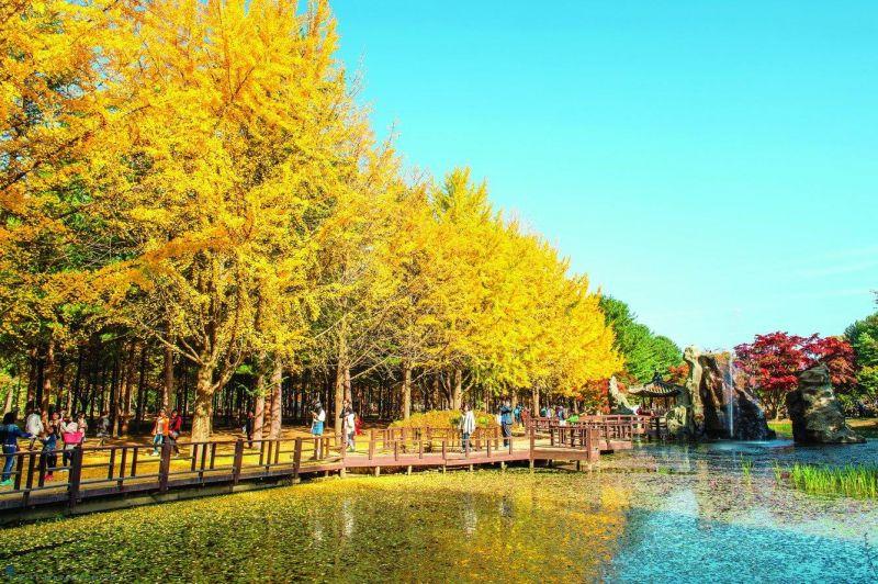Top 8 điểm đến mùa thu không thể bỏ lỡ ở Hàn Quốc