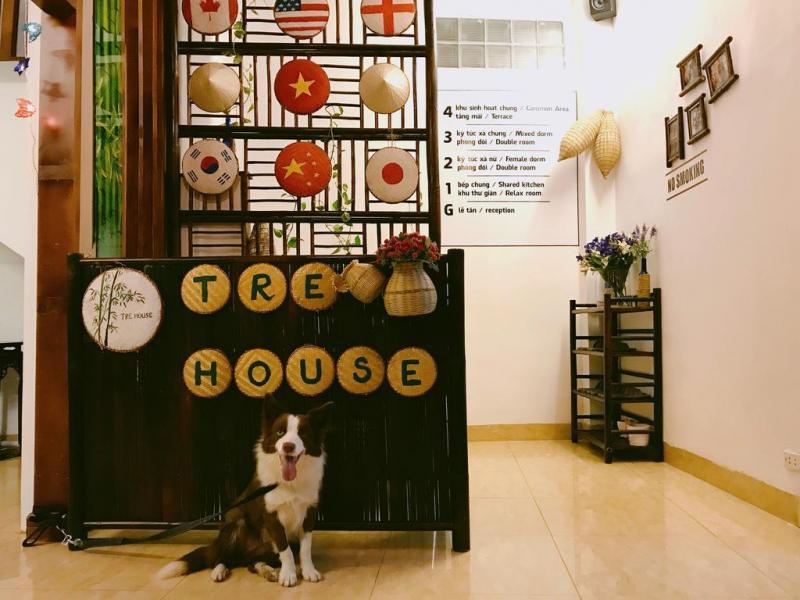7 Homestay Hà Nội dưới 500k: Sang - Xịn giữa lòng phố cổ