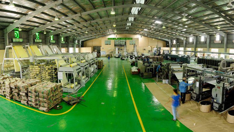 8 Xưởng sản xuất ly giấy uy tín nhất TP.HCM: Chất lượng đạt chuẩn - Giá cả phải chăng