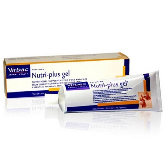 Top 10 loại gel dinh dưỡng tốt nhất cho chó mèo hiện nay
