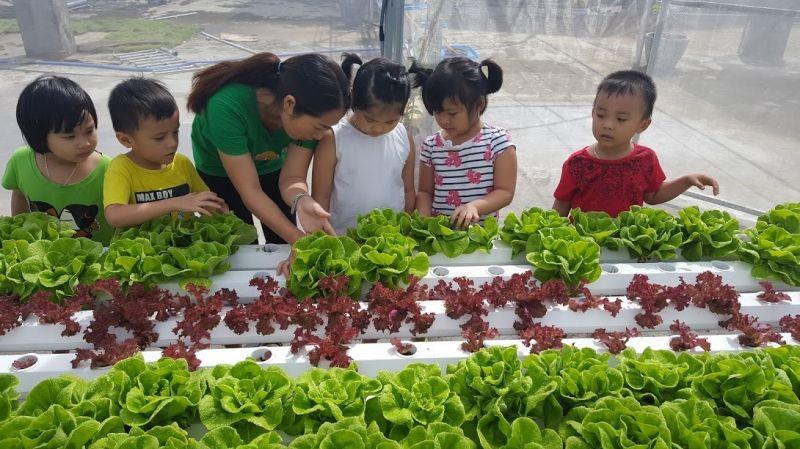 10 Ngôi Trường Mầm Non Chất Lượng Nhất TP. Biên Hòa, Đồng Nai