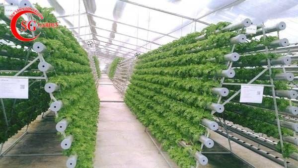 6 Đơn vị thi công vườn rau sạch tại nhà chất lượng nhất TP.HCM