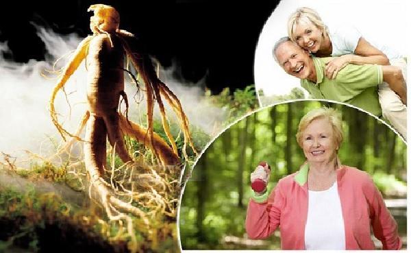 10 Tác Dụng Vàng Của Hồng Sâm Và Cách Dùng Đạt Hiệu Quả Tối Ưu