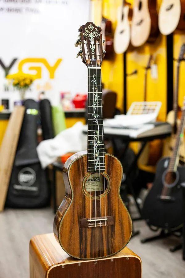 Top 10 địa chỉ mua đàn Ukulele uy tín, chất lượng và giá hấp dẫn tại TP. HCM