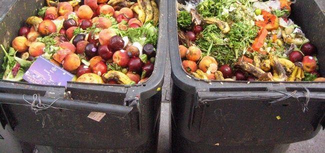 7 Loại Phế Phẩm Nhà Bếp Biến Thành Phân Hữu Cơ Quý Giá Cho Vườn Nhà