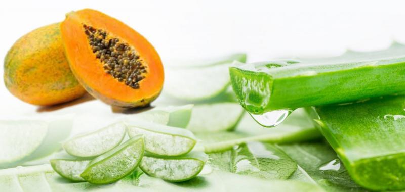 10 Bí Quyết Trị Mụn Bằng Nha Đam Hiệu Quả Tại Nhà Không Thể Bỏ Qua