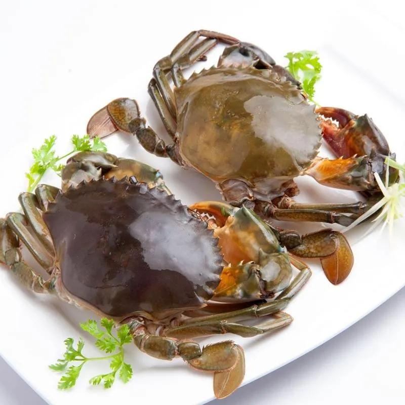 24 Siêu Thực Phẩm Vàng Dành Cho Người Tai Biến, Đột Quỵ Và Tiểu Đường