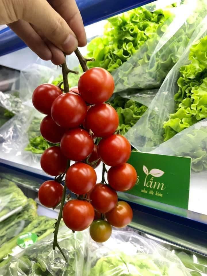 Top 7 Địa chỉ thực phẩm sạch đáng tin cậy và chất lượng hàng đầu tại Hải Dương