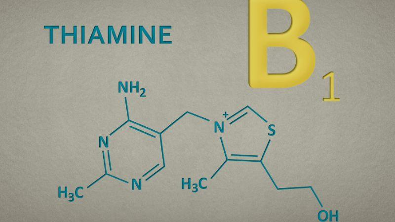 Dấu hiệu và nguyên nhân cho thấy cơ thể bạn đang thiếu hụt vitamin B1