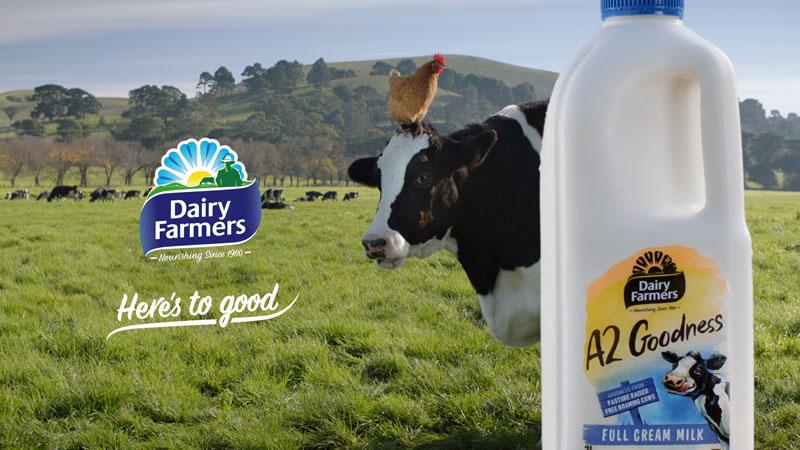 Sữa chua Dairy Farmers - Hương vị thơm ngon đặc trưng, giàu dưỡng chất, hỗ trợ tiêu hóa khỏe mạnh