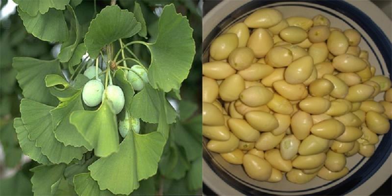 Top 10 Cách đơn giản giúp giảm chóng mặt hiệu quả nhất