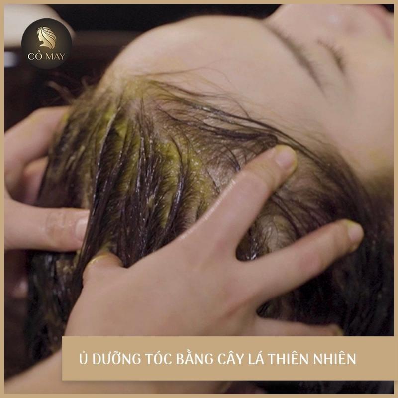 Top 5 Địa chỉ gội đầu dưỡng sinh uy tín nhất tại quận Tân Bình, TP.HCM