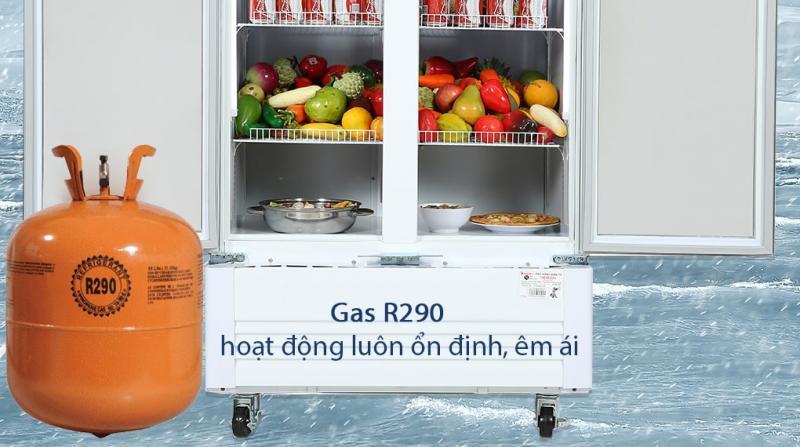 Top 7 mẫu tủ mát Sanaky chất lượng, được yêu thích nhất hiện nay trên thị trường