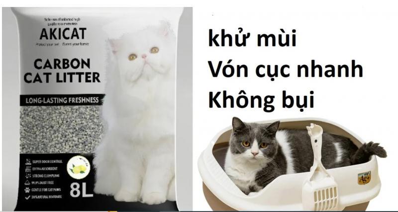 Top 10 Loại Cát Vệ Sinh Cho Mèo Chất Lượng Nhất Dành Cho Sen