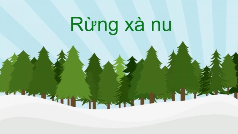 10 Cách Viết Mở Bài & Kết Bài Ấn Tượng Cho Tác Phẩm "Rừng Xà Nu"