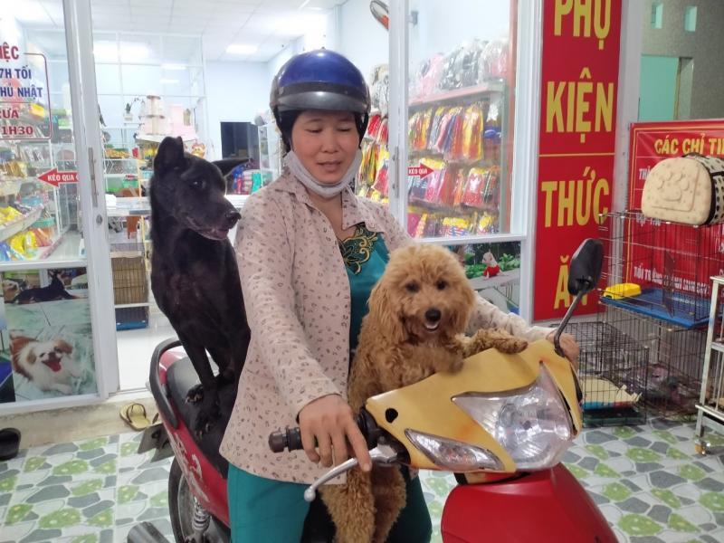 6 địa chỉ phòng khám thú y đáng tin cậy nhất tại Tiền Giang
