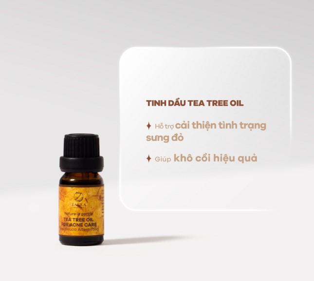 Top 10 Tinh dầu tràm trà được ưa chuộng nhất hiện nay