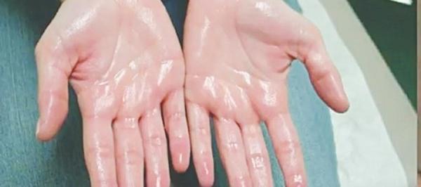 19 Loại cây gia vị nên trồng trong vườn – Vừa tăng hương vị món ăn, vừa hỗ trợ sức khỏe