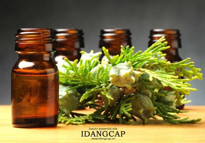 Top 5 tinh dầu thiên nhiên giúp phòng ngủ thơm ngát, xua muỗi và giải tỏa căng thẳng
