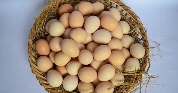 Top 20 loại thực phẩm giúp tóc bạn phát triển nhanh và khỏe mạnh hơn