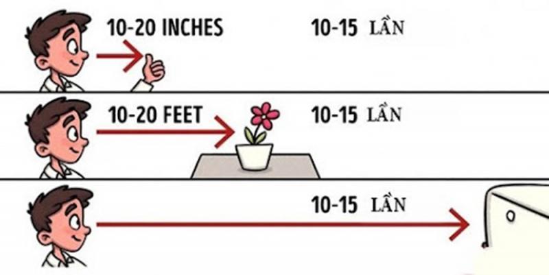 10 Bí Kíp Vàng Giảm Căng Mắt Tức Thì Cho Dân Công Sở Thường Xuyên Làm Việc Với Máy Tính