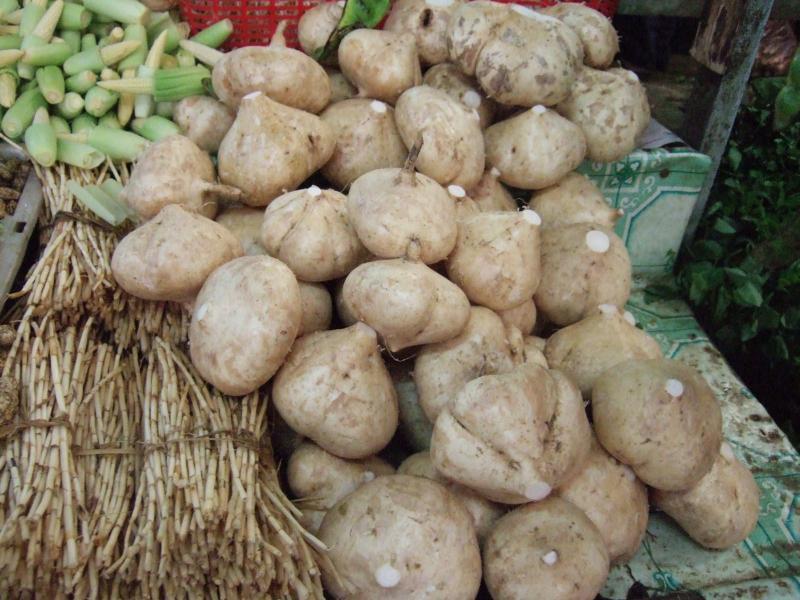 10 Lợi ích sức khỏe đáng kinh ngạc từ củ đậu có thể bạn chưa biết