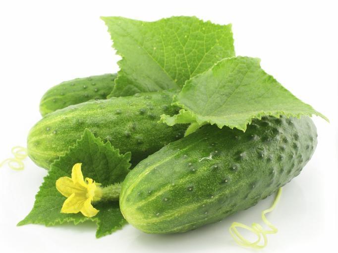 12 Bí Quyết Chống Nắng Tự Nhiên Từ Trái Cây - Mát Da, Khỏe Người