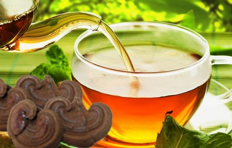 10 Lợi ích vàng của nấm linh chi cùng phương pháp sử dụng hiệu quả nhất